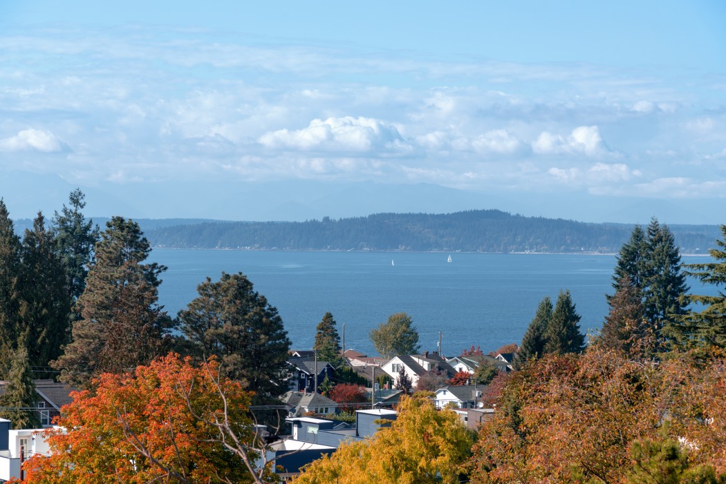 Seattle lake and trees in fall