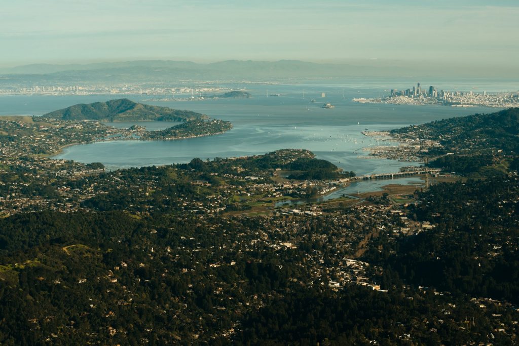 aerial view if trees near body of water