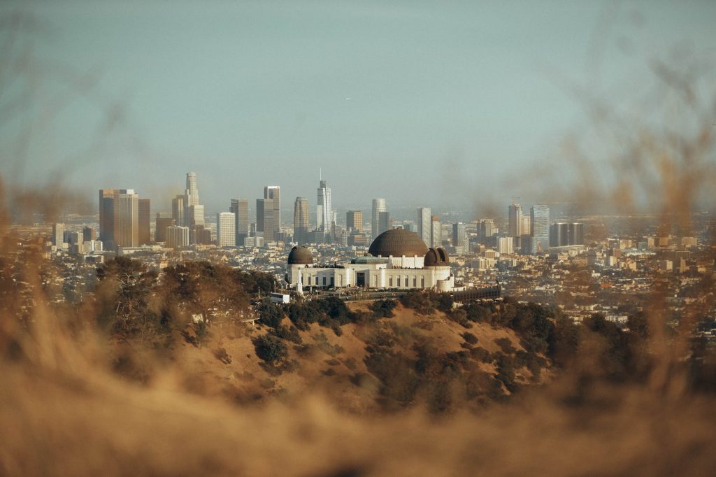 white and brown buildings