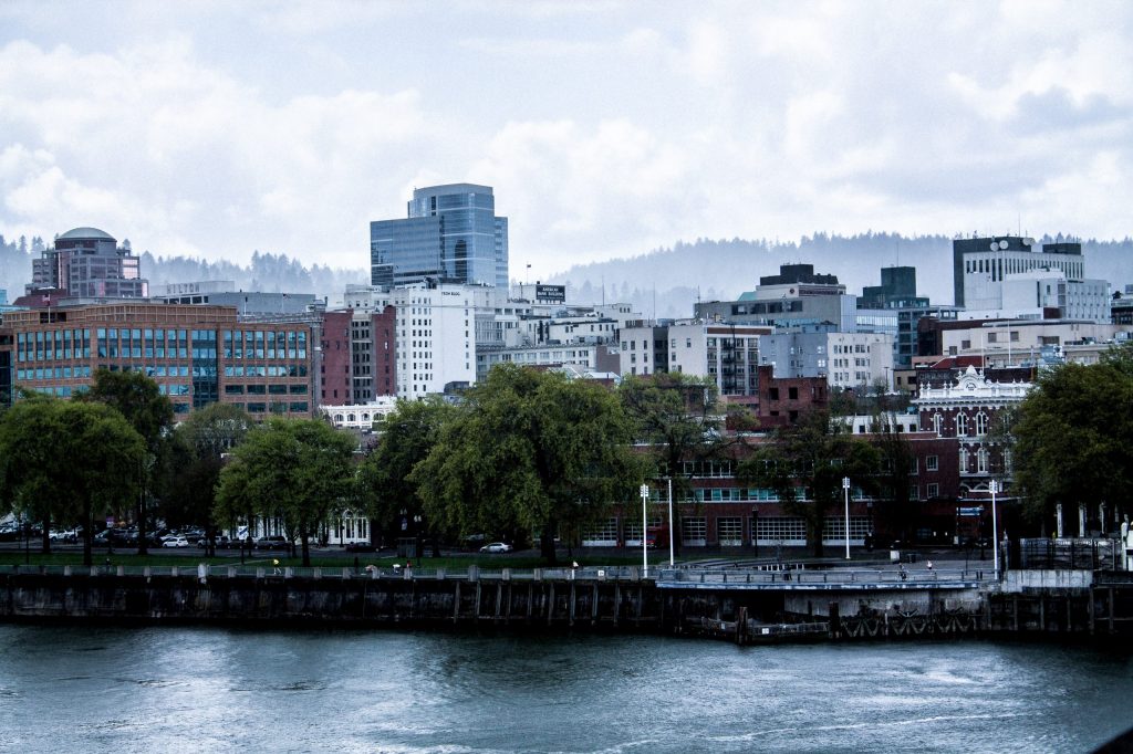 city skyline near body of water during daytime