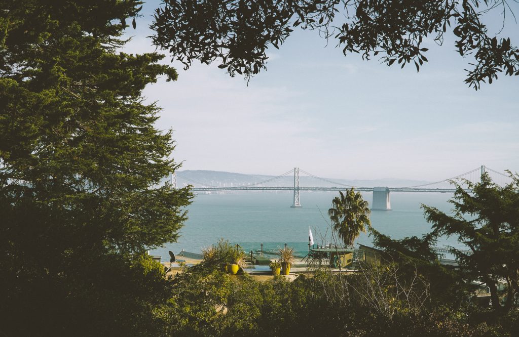 white bridge across bay