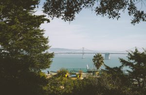 white bridge across bay