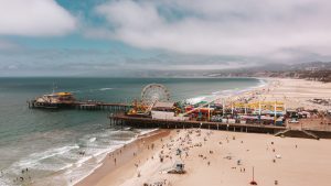 people on beach during daytime