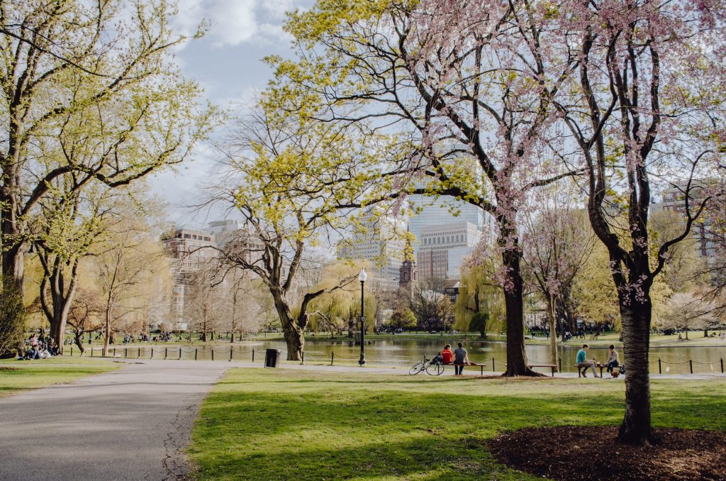 people walking on park during daytime